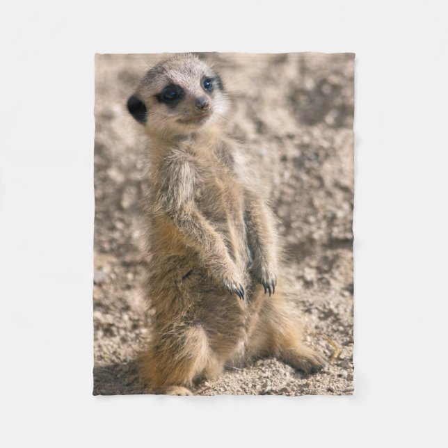 Couverture de la flotte de sentinelle (Devant)