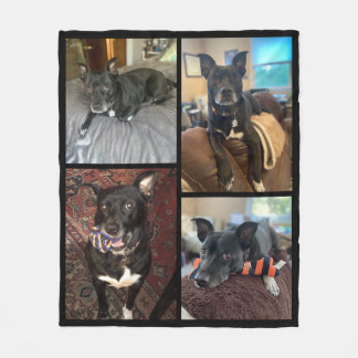 Couverture de la flotte photo de chien personnalis