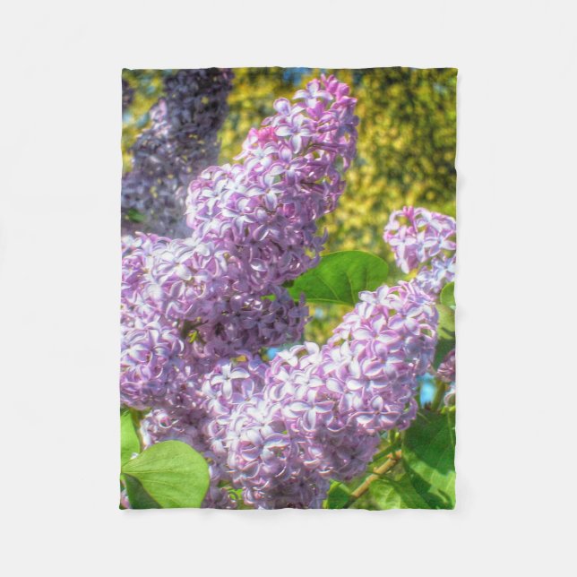 Couverture de lilas (Devant)
