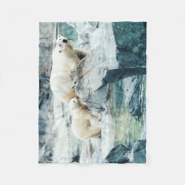 Couverture de maman d'ours blanc et d'ouatine de (Devant)