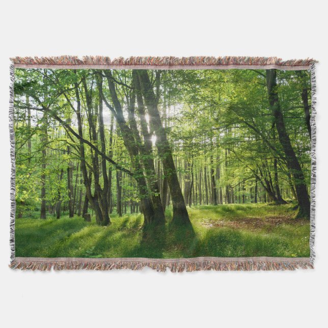 Couverture Der Wald im Frühling (Devant)