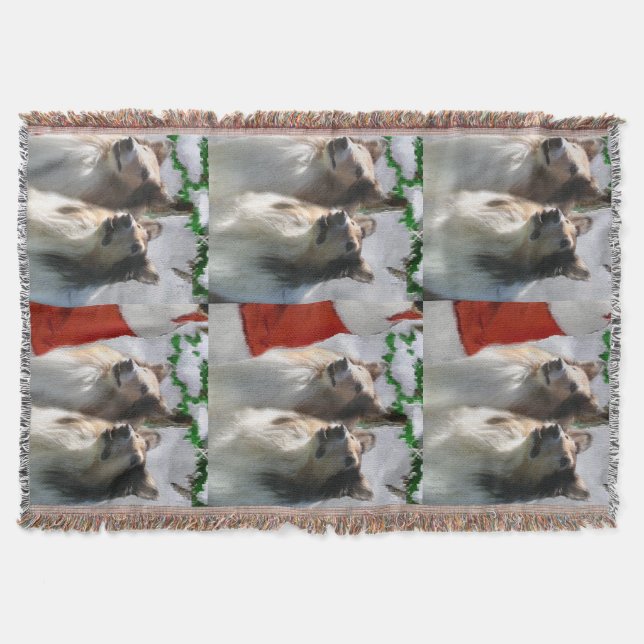 Couverture Des collies rugueuses rencontrent Noël Père Noël (Devant)