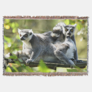 Couverture Des lémuriens de Madagascar surpris