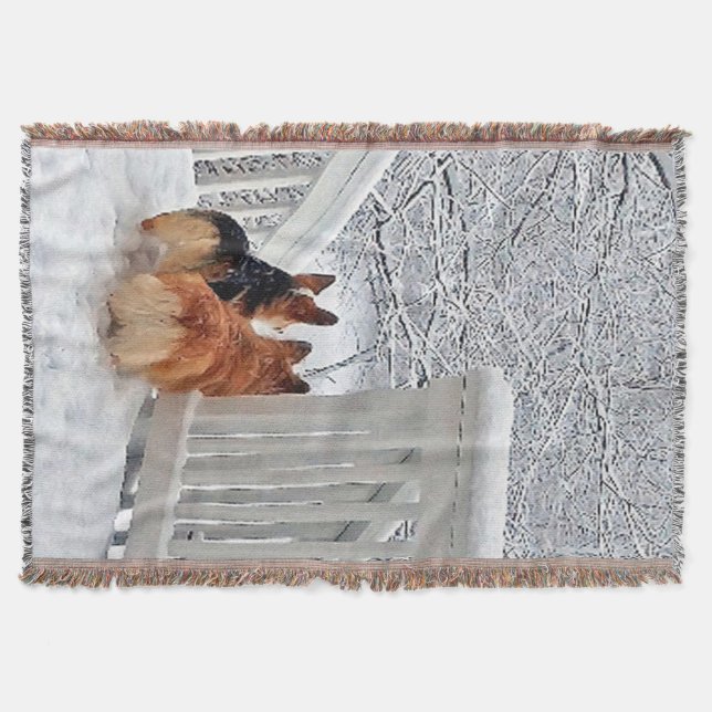 Couverture Deux Corgis dans la neige (Devant)