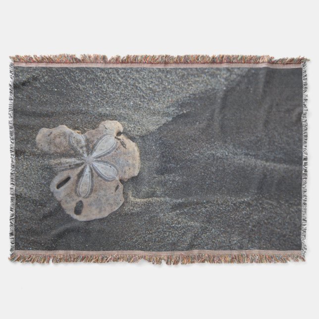 Couverture Dollar de sable sur le sable (Devant)