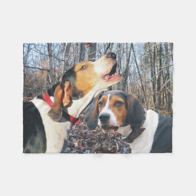 Couverture d'ouatine de Coonhound de marcheur (Devant (Horizontal))