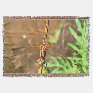 Couverture Dragonfly Artistique Reposant Sur Une Tête De Fleu