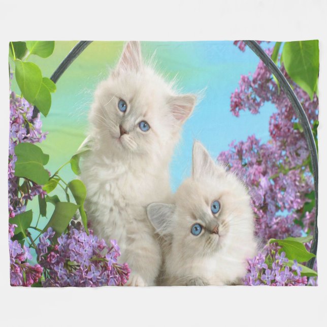 Couverture en polaire/chatons (Devant (Horizontal))
