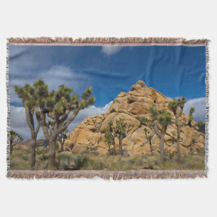 Couverture États-Unis, Californie, Parc national de Joshua Tr