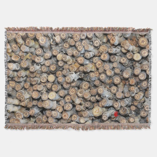 Couverture Etoiles le long du Rio Grande Cotton Bois Talki (Devant)