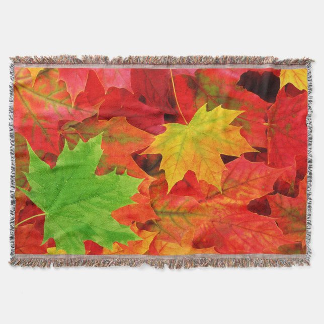 Couverture Feuilles d'automne (Devant)