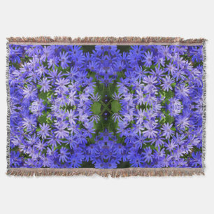Couverture Fleurs bleues à la marguerite Nature Photographie