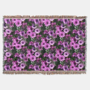 Couverture Fleurs de marguerite africaine violet Motif de la