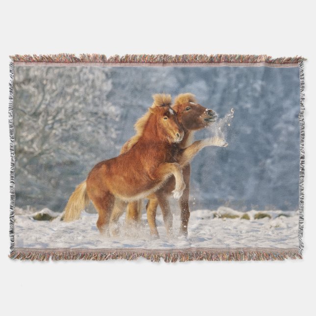 Couverture Foal de cheval islandais jouant dans la neige amus (Devant)
