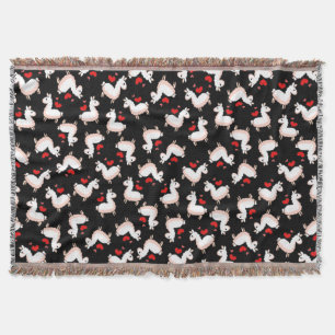 Couverture Folie de lama