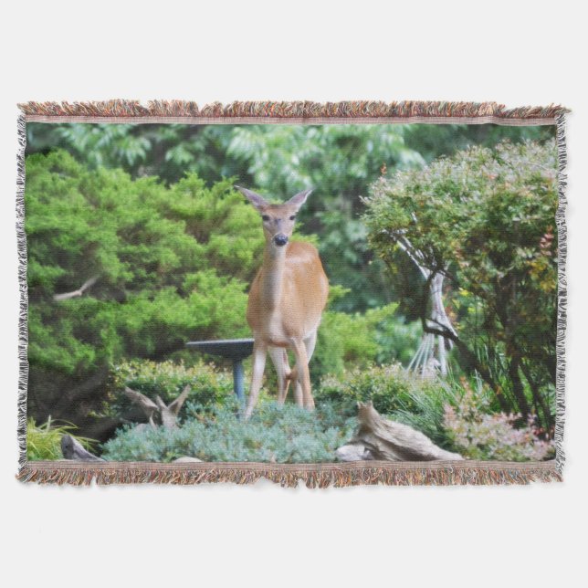 Couverture Forest Deer (Devant)