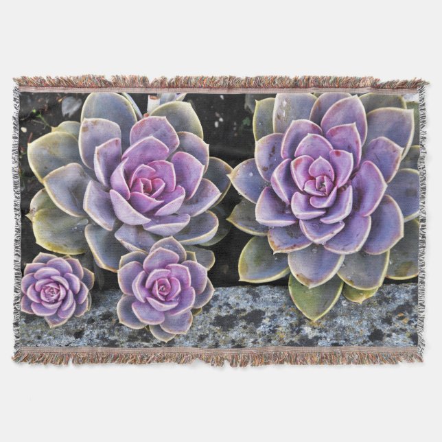 Couverture gh (Devant)