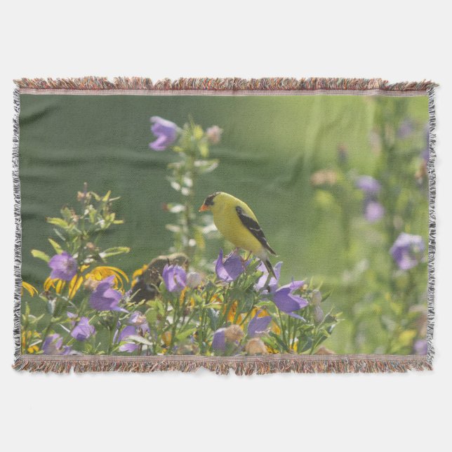 Couverture Goldfinch sur Harebell Flower (Devant)