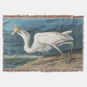 Couverture Grande Aigrette d'Audubon : Oiseau côtier vintage