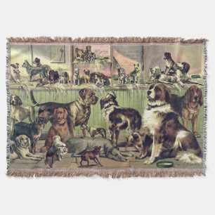 Couverture Groupe de chiens