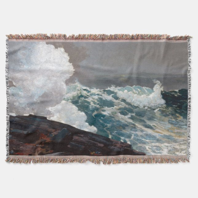 Couverture Homère Winslow du nord-est 1895 (Devant)