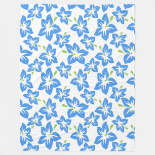 couverture horaire hawaïenne