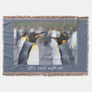 Couverture Il fait froid à l'extérieur de King Penguin photo 