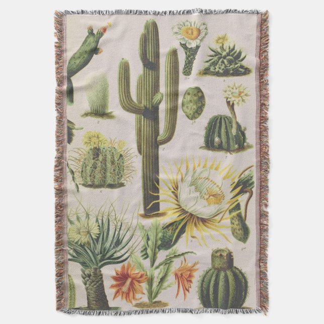 Couverture Illustration de cactus botaniques Vintages (devant Vertical)
