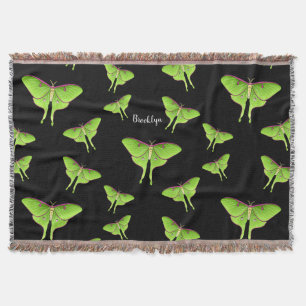 Couverture Illustration de Luna Moth