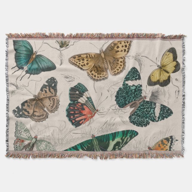 Couverture Illustration de papillon antique : 1820 Orfèvre (Devant)