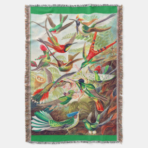 Couverture Imprimerie de colibris 1904