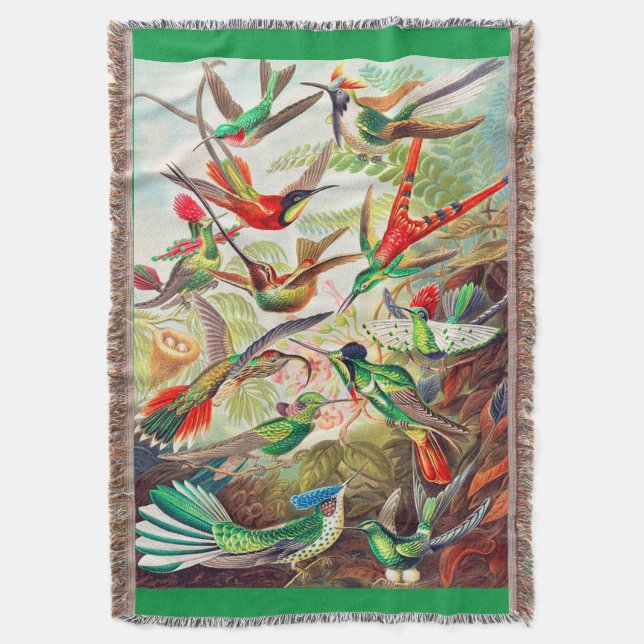 Couverture Imprimerie de colibris 1904 (devant Vertical)