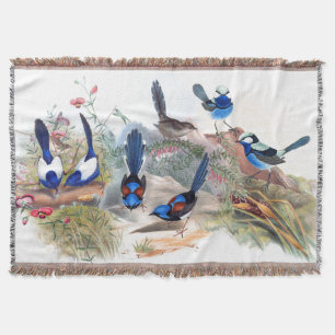 Couverture La faune bleue d'oiseaux de roitelet fleurit le