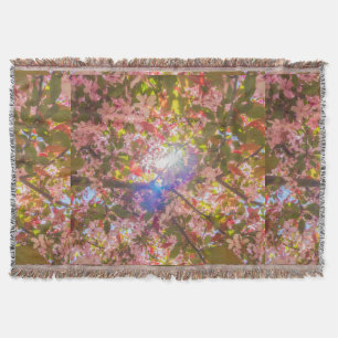 Couverture La nature fleurit fleurs lumière fleur soleil