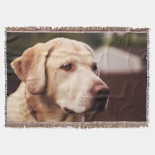 Couverture Labrador retriever