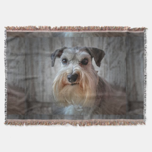 Couverture Le visage de Schnauzer Dog (Devant)