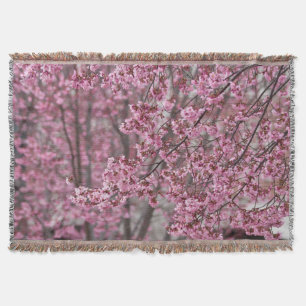 Couverture Les fleurs de cerisiers de Shakura s'épanouissent 