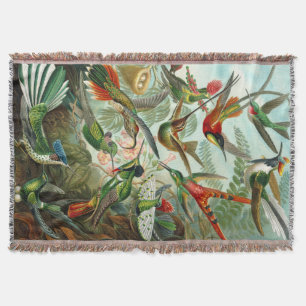 Couverture Les magnifiques colibris d'Ernst Haeckel