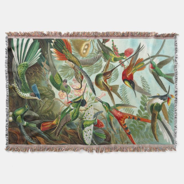 Couverture Les magnifiques colibris d'Ernst Haeckel (Devant)