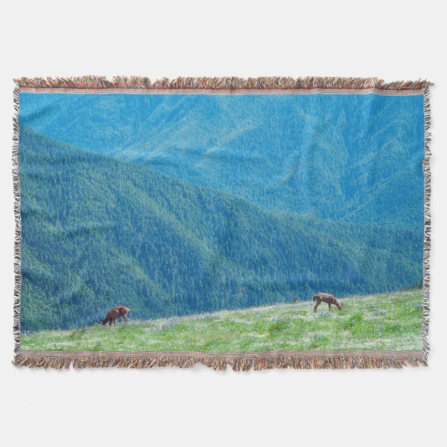 Couverture Les seaux au pied des montagnes (Devant)