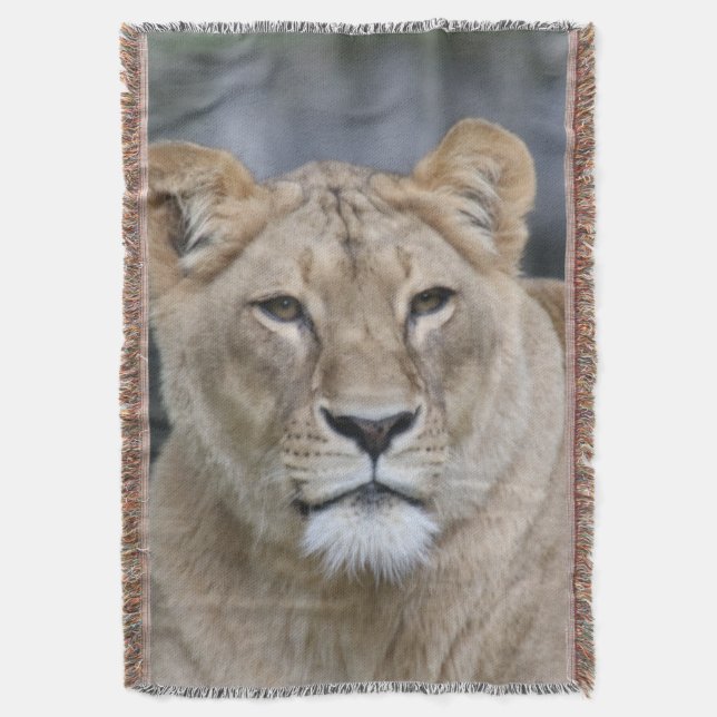 Couverture Lion 004 (devant Vertical)