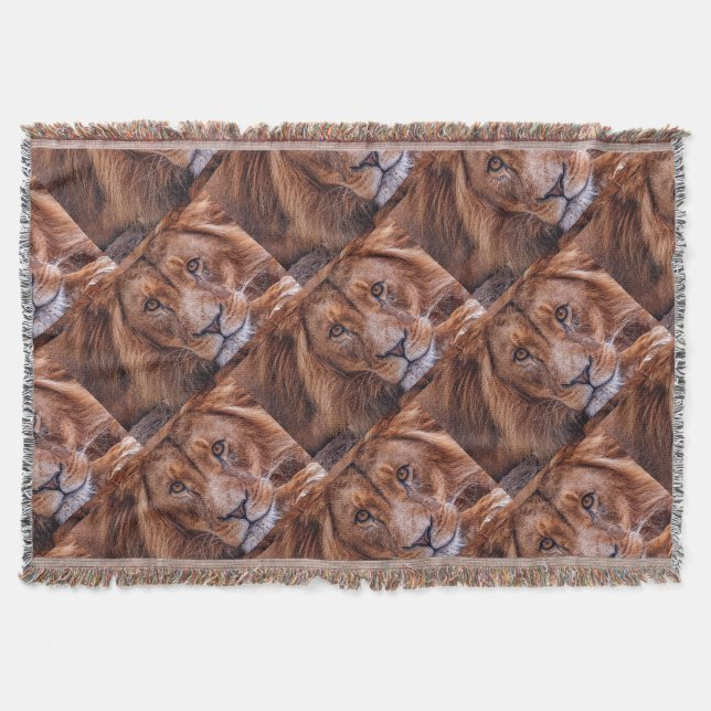 Couverture Lion africain (Devant)