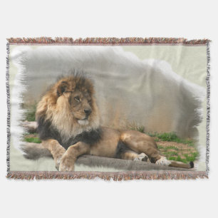 Couverture Lion au repos