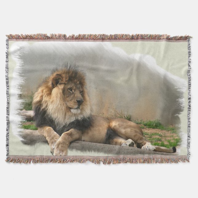 Couverture Lion au repos (Devant)