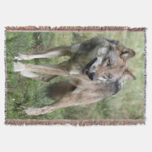Couverture Loup 19