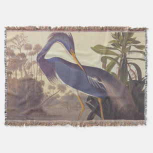 Couverture Lousiana Heron en gris, vert et bleu par Audubon