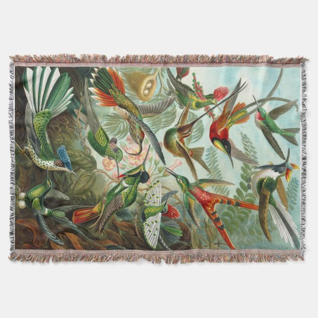 Couverture Magnifiques colibris Ernst Haeckel (Devant)