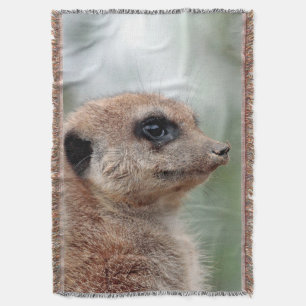 Couverture Meerkat 180
