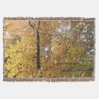 Couverture Mi-octobre arbres 2 Jeter