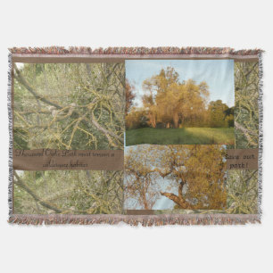 Couverture Mille Chênes Parc de conservation arbres et paysag